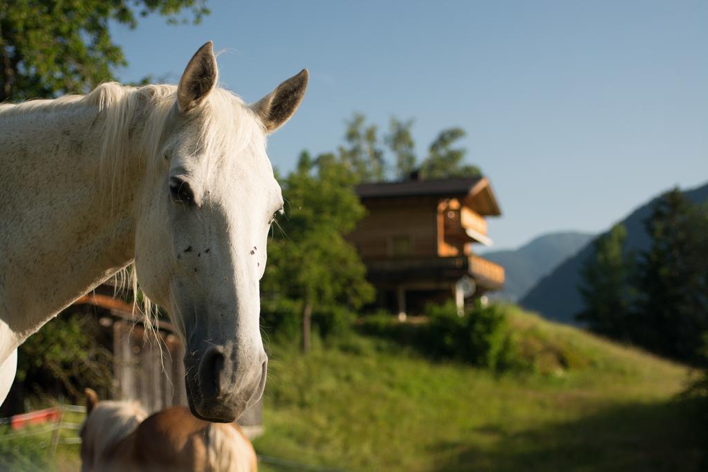 Ferienhaus Oetztal ساوتينس المظهر الخارجي الصورة