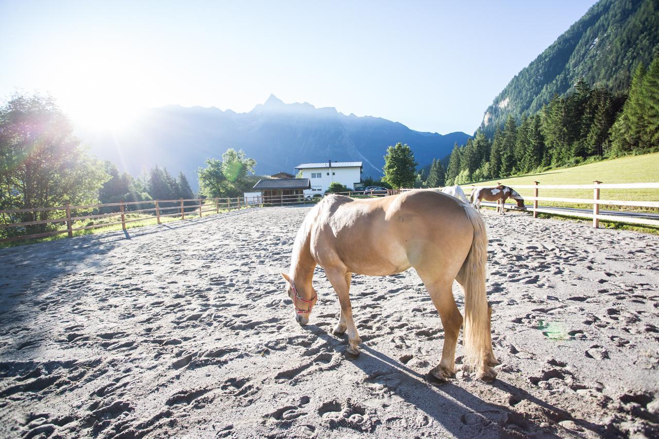 Ferienhaus Oetztal ساوتينس المظهر الخارجي الصورة