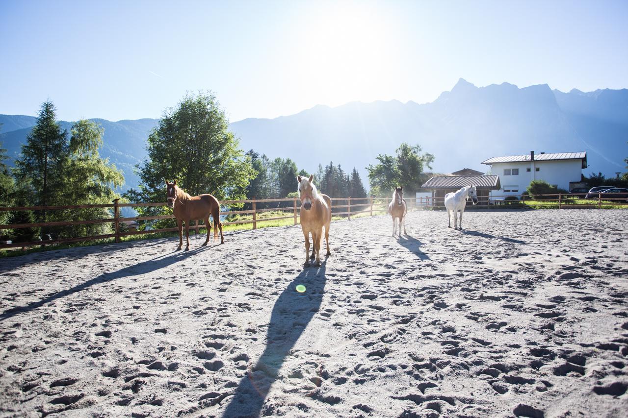 Ferienhaus Oetztal ساوتينس المظهر الخارجي الصورة